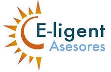 e ligent asesores
